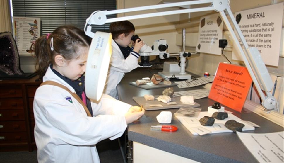 Be A Scientist at SEARCH
