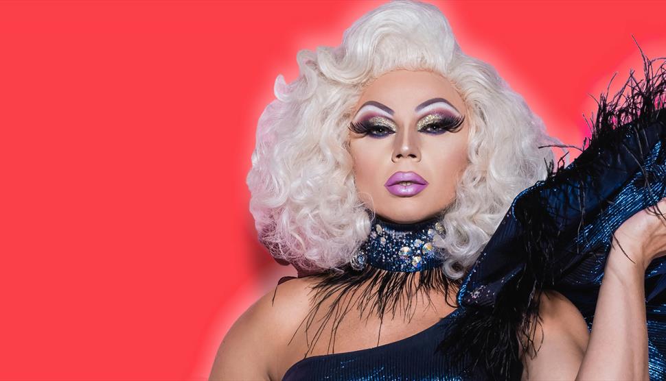Drag Bingo