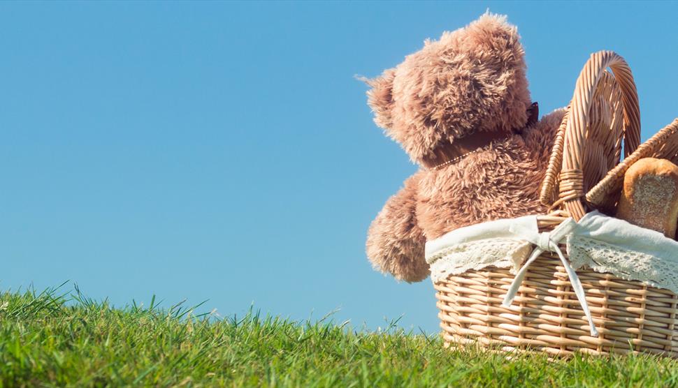 Teddy bear's picnic on the Meadow at Solent Hotel & Spa