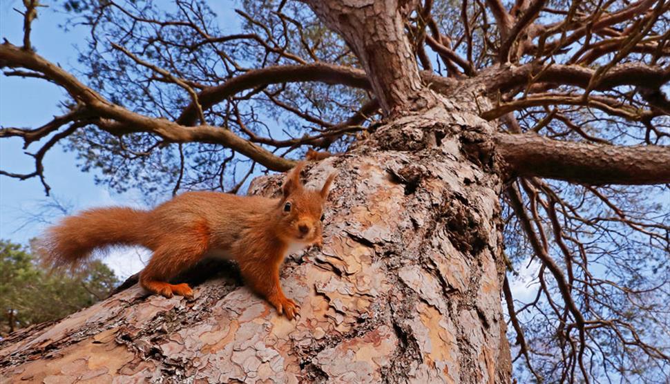 The British Wildlife Photography Awards at St Barbe Museum and Art Gallery