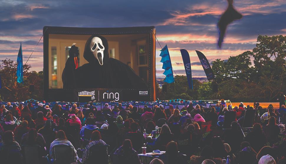 An audience watches outdoor cinema Scream (18).