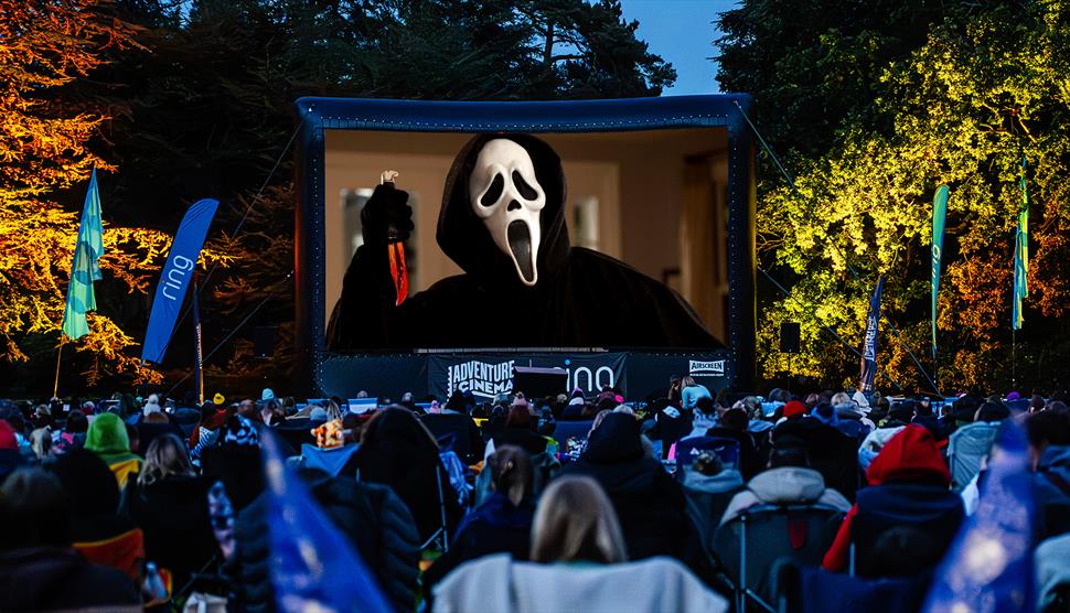 An audience watches outdoor cinema Scream (18).