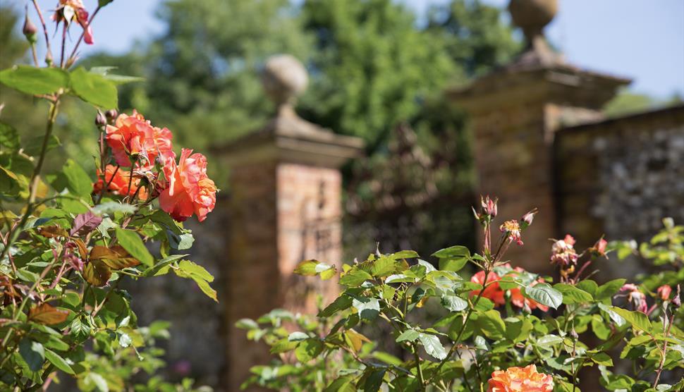 Regency Week Garden Tour at Chawton House