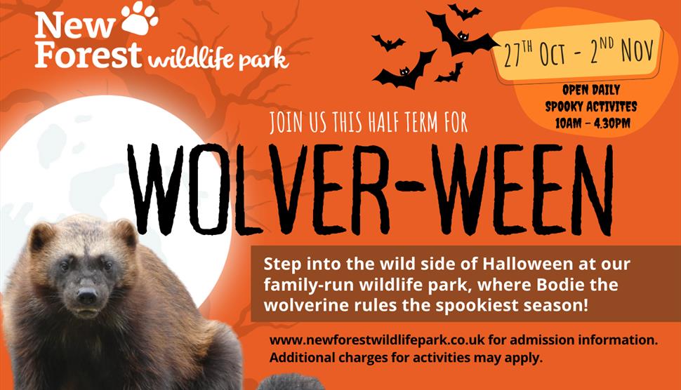 Wolver-ween halloween poster with wolverine animal