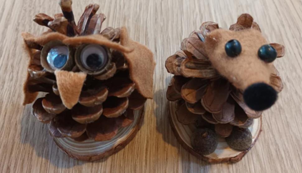 Picture of pine cone owl and squirrel as a superhero