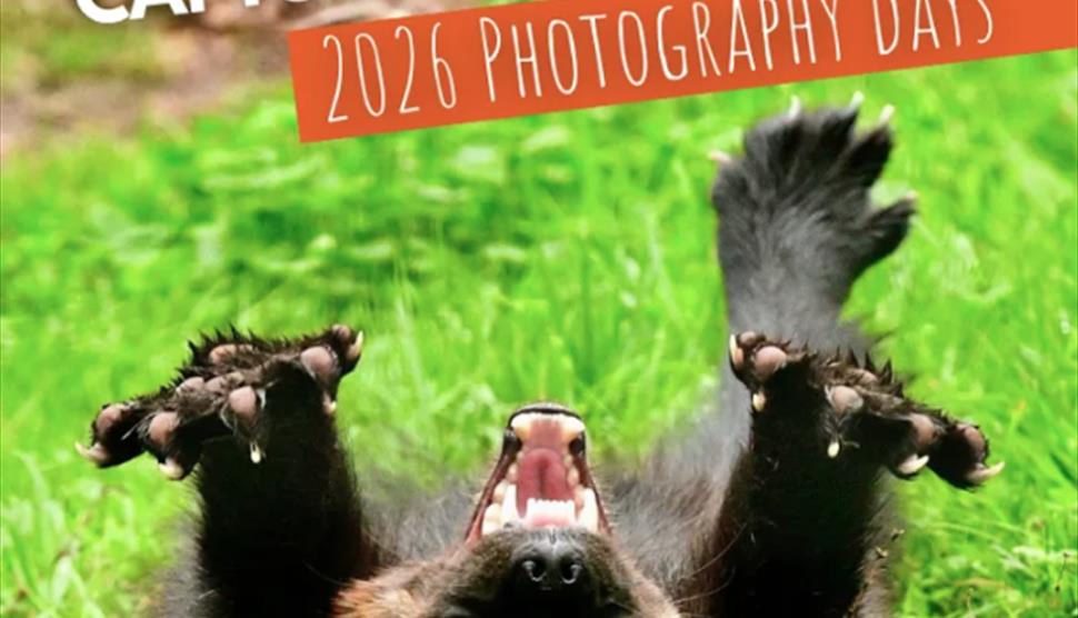 Photography Experience Days at New Forest Wildlife Park