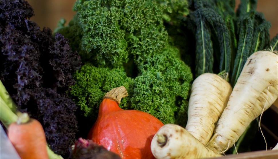 Seasonal Cooking: Autumn with Steven Edwards