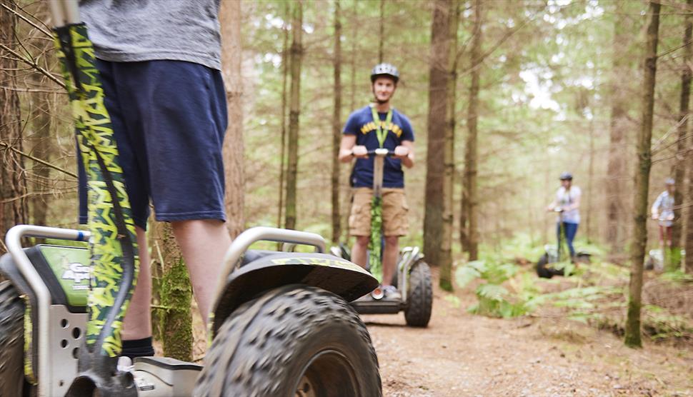 Moors Valley Country Park and Forest