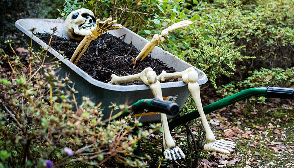 Gruesome Garden Trail at Exbury Gardens & Steam Railway