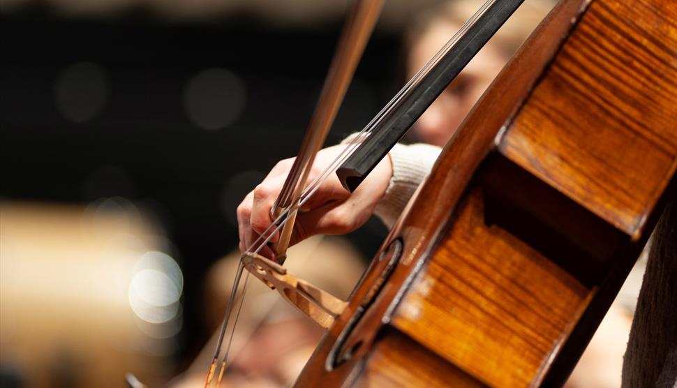 Close up image of a cello