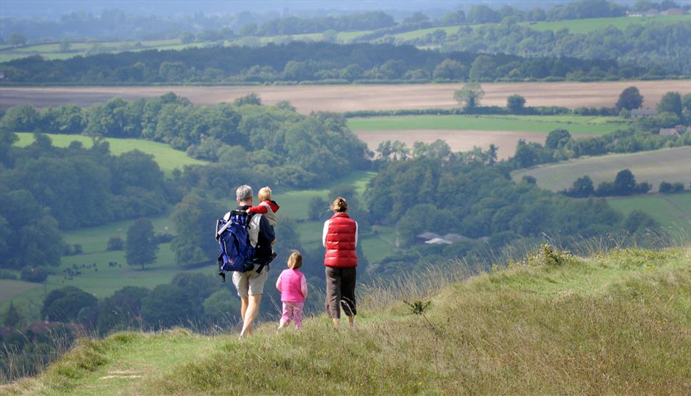 Walking in the South Downs