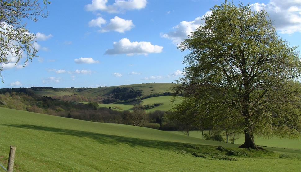The Past, Present and Future of the South Downs National Park at Gilbert White's House