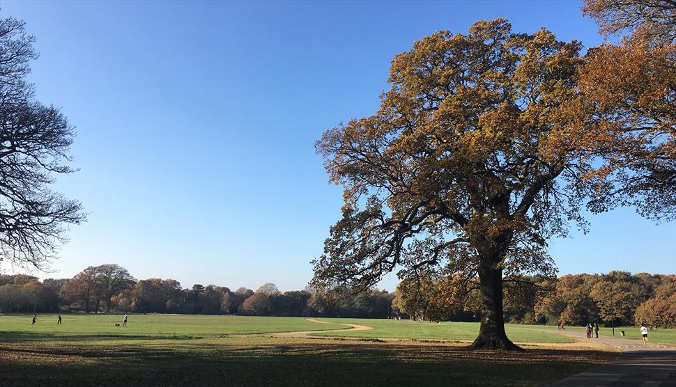 Southampton Common