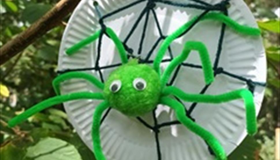 Spider craft in Web