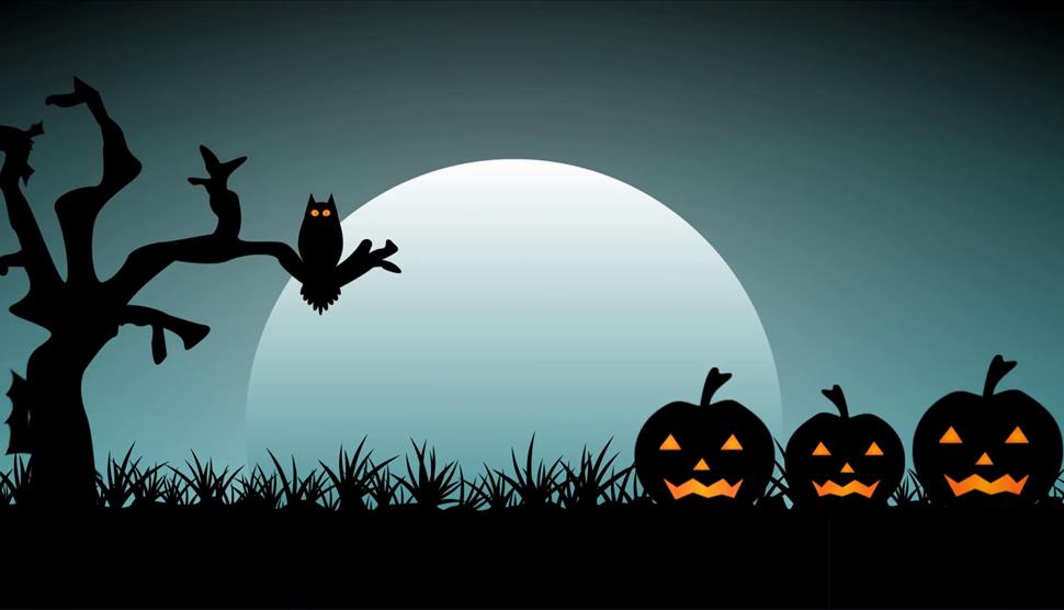 Spooky Animation Workshop for ages 8+ at The Lights Theatre