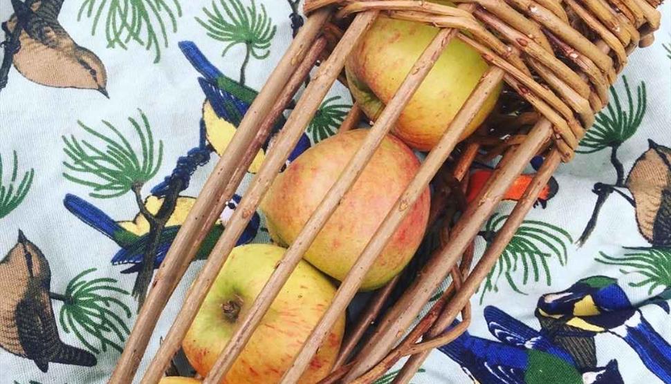 Willow Birdfeeder Workshop