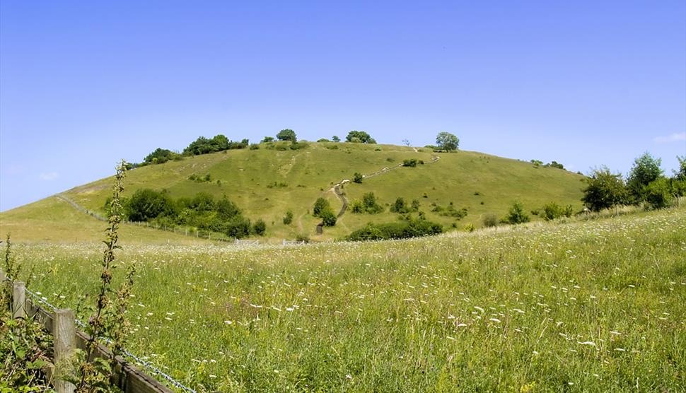 St Catherine's Hill Nature Reserve near Winchester