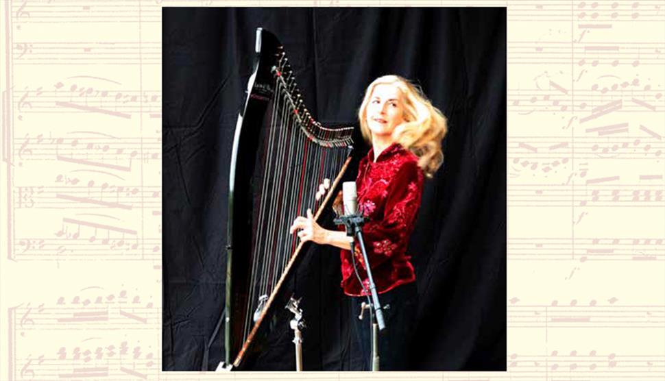 Sarah Deere-Jones Harp and Phil Williams Guitar at Stockbridge Town Hall