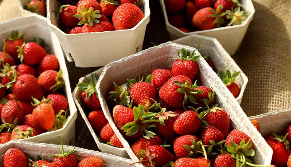Heckfield Home Farm Produce Sale