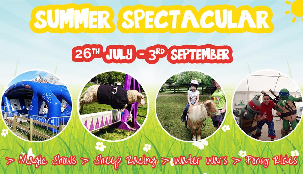 Summer Spectacular at Finkley Down Farm