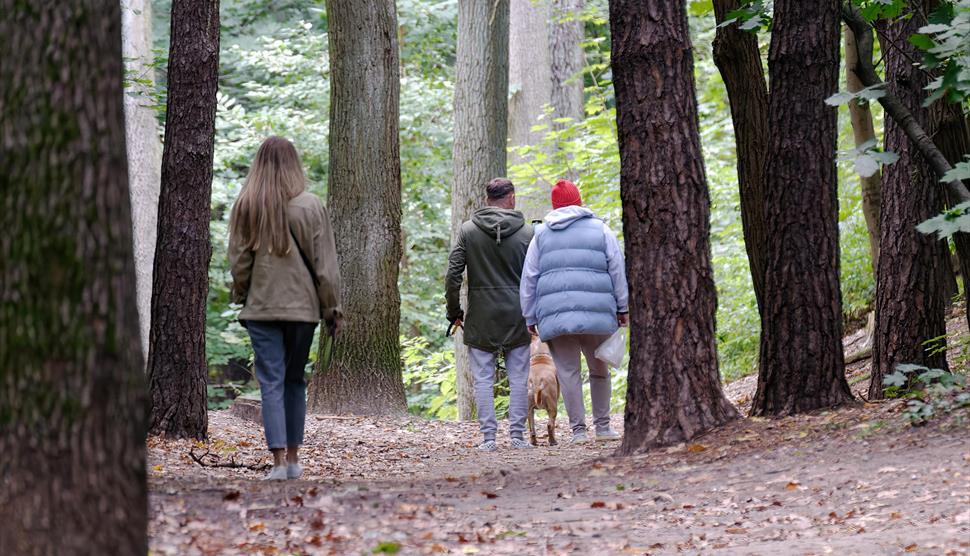 People standing in the forest relaxing in nature