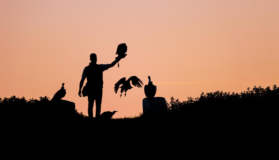 The Hawk Conservancy Trust