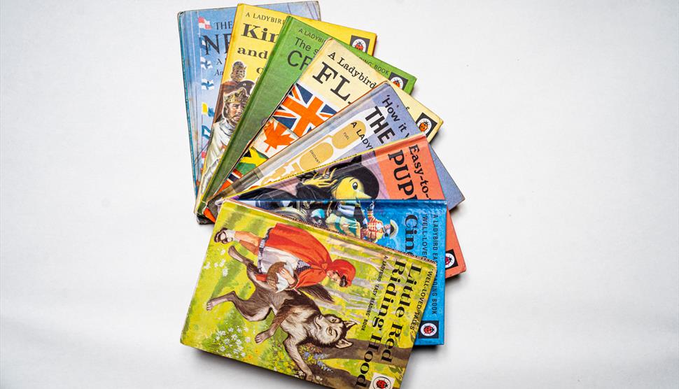 The Wonderful World of the Ladybird Book Artists at Willis Museum and Sainsbury Gallery