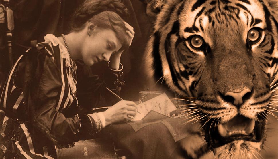 The Vegan Tigress at Petersfield Museum