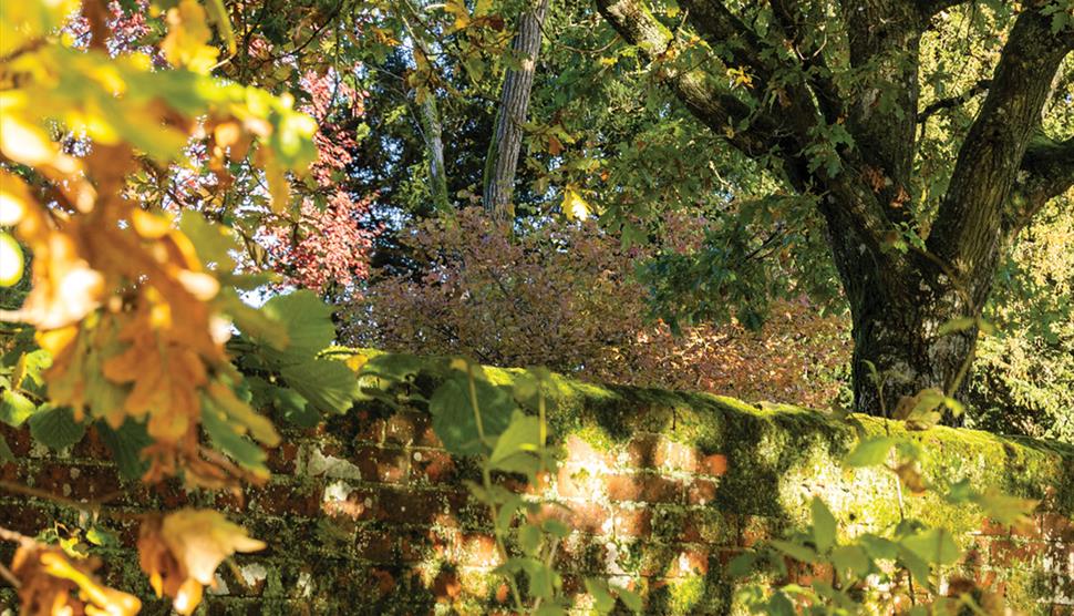 Talk: Jane Austen's Love of Poetry at Jane Austen's House