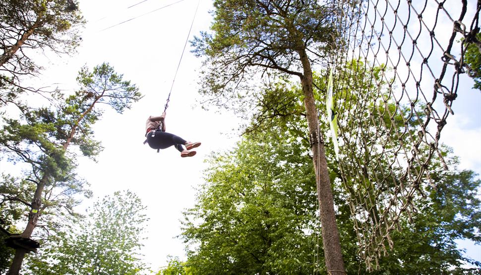 Tarzan swing at Go Ape Southampton