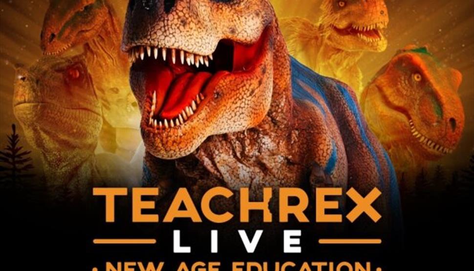 Teach Rex
