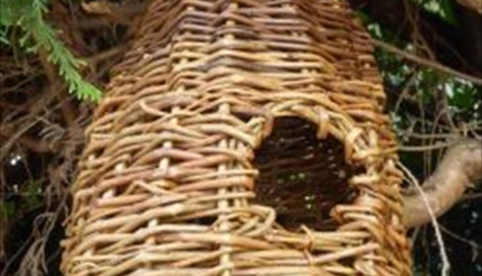 Willow bird-feeder workshop