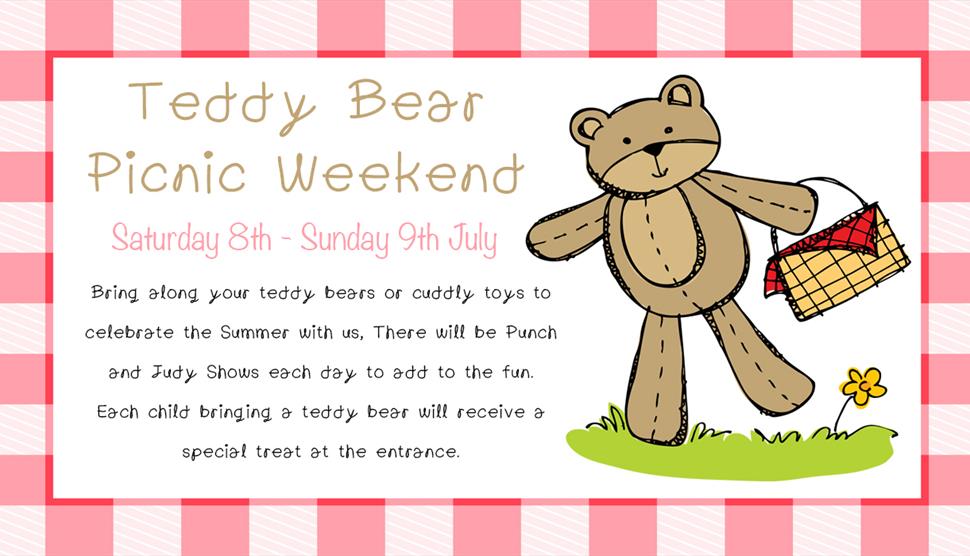 Teddy Bear Picnic at Finkley Down Farm