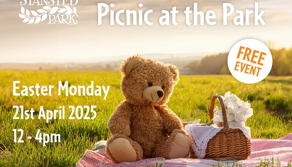 Teddy Bears Picnic