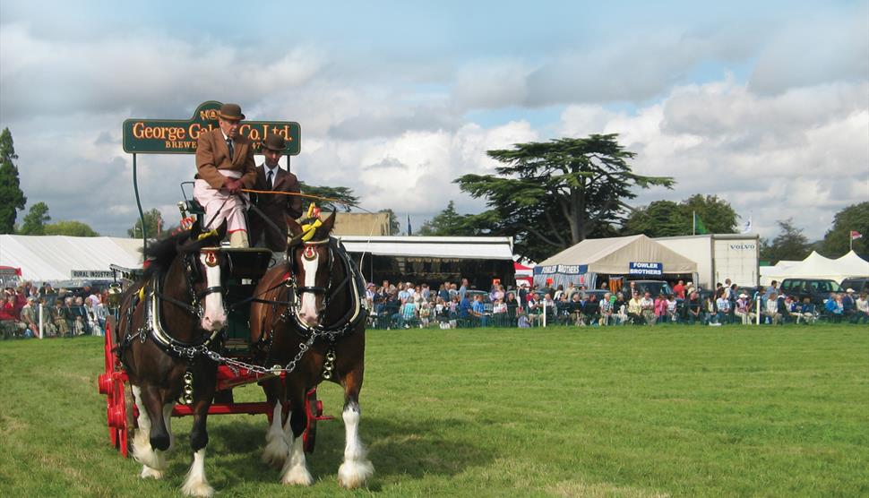 The Romsey Show