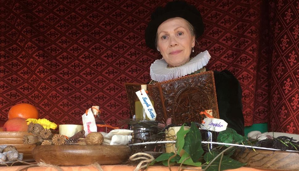 The Wise Woman and her array of remedies at The Mary Rose museum