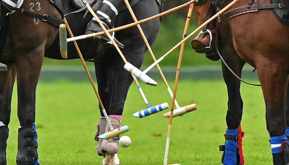 New Forest Polo Club - Dunlop Cup at The Showground, Brockenhurst