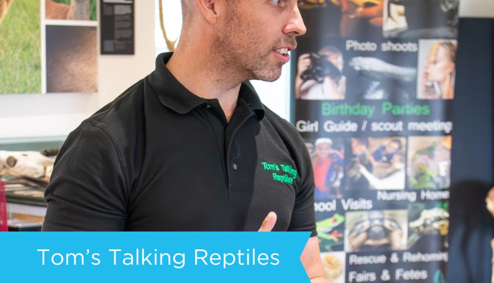 Tom's Talking Reptiles at Sky Park Farm