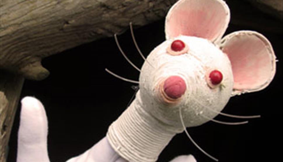 Town Mouse, Country Mouse
