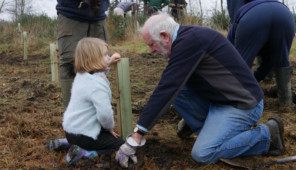 Tree Planting in Foxbury