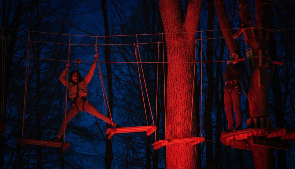 Women and man on treetop crossing at night