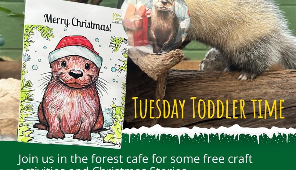 Toddler Tuesday image