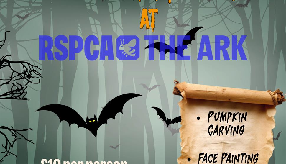 Stubbington Ark Halloween