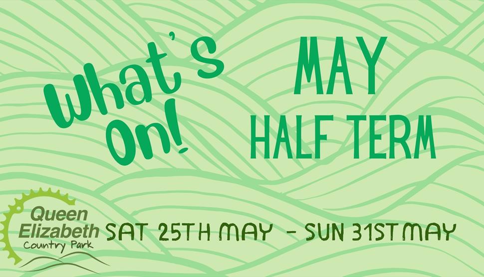 May Half Term at Queen Elizabeth Country Park