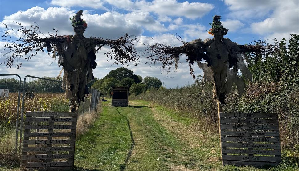 Witchville at Picking Patch