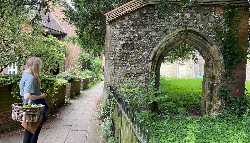 Urban Foraging Workshop in Winchester