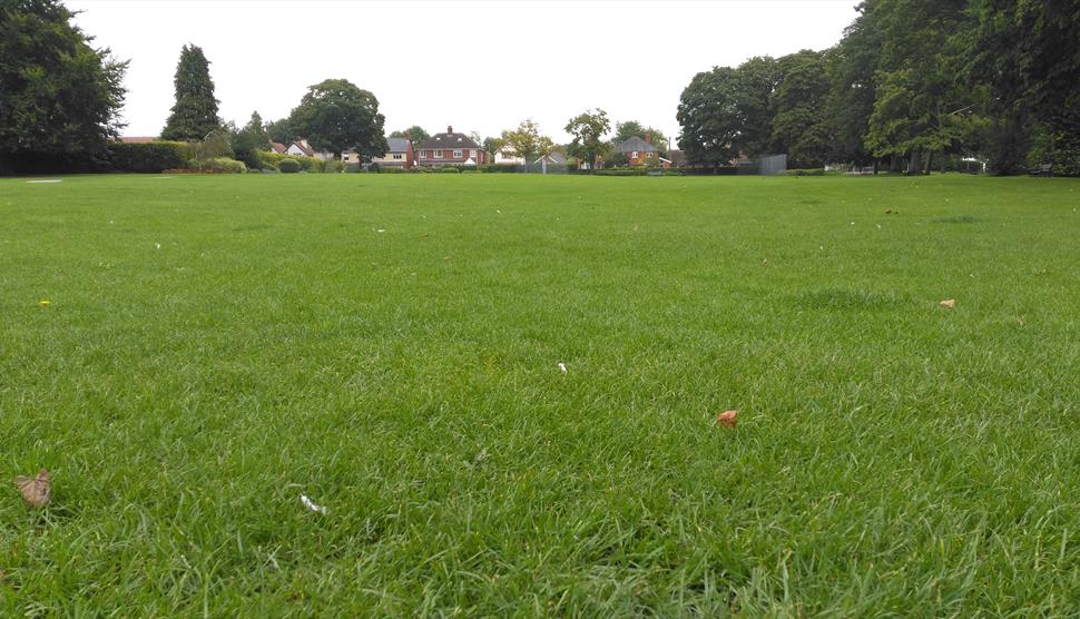 Andover Proms in Vigo Park