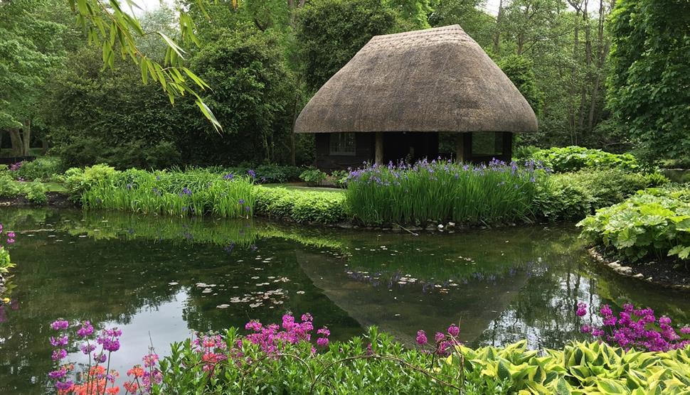 An Evening at the Water Garden: Longstock Park Water Garden