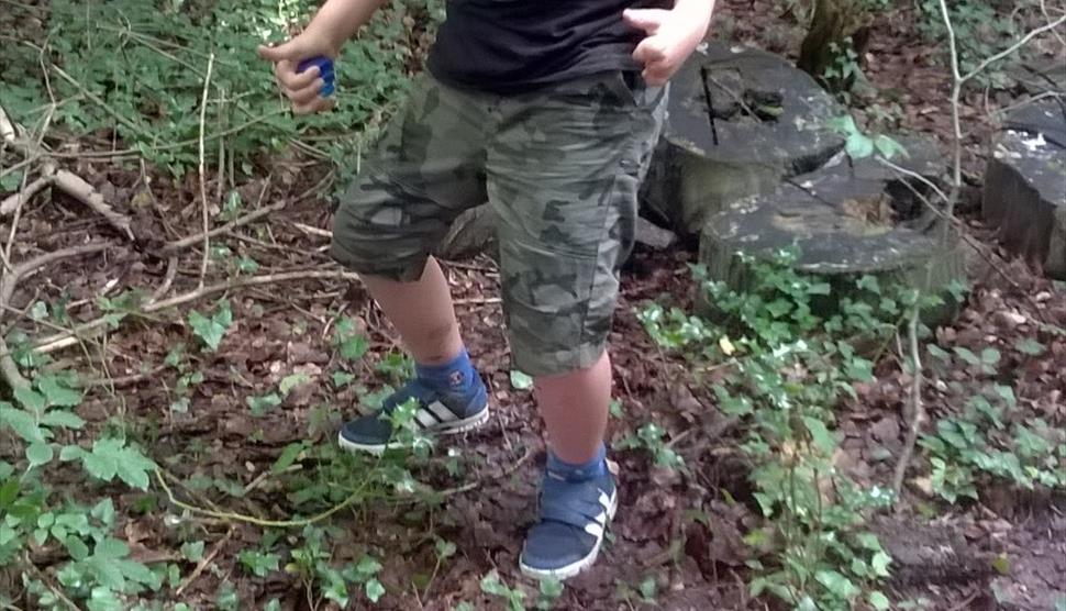 Bushcraft Day