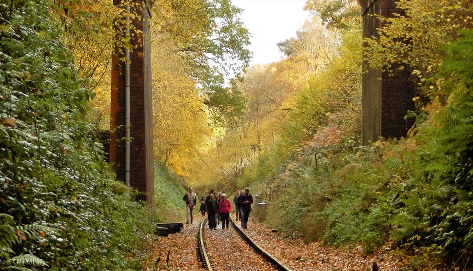 Walk the Line at The Watercress Line